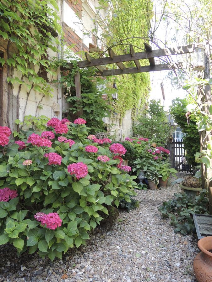 Maison D'Hotes "Les Volets Verts" Et Sa Brocante Ecueille Luaran gambar
